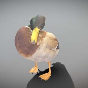 现代鸭子3D模型下载